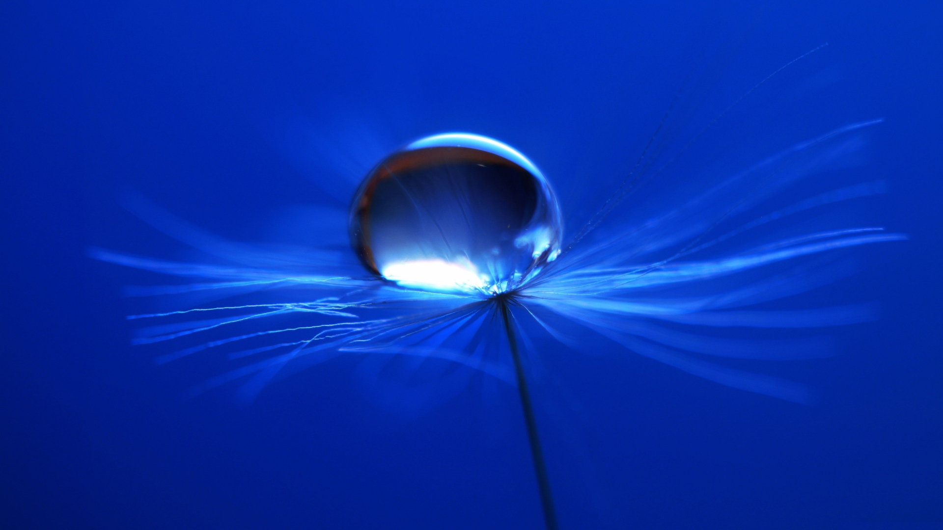 A veces una enfermedad puede curar